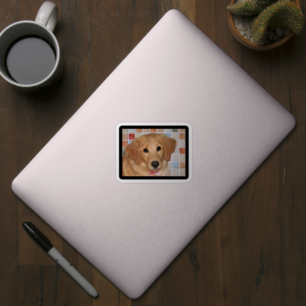 Adorable Golden Retriever Puppy by PandLCreations